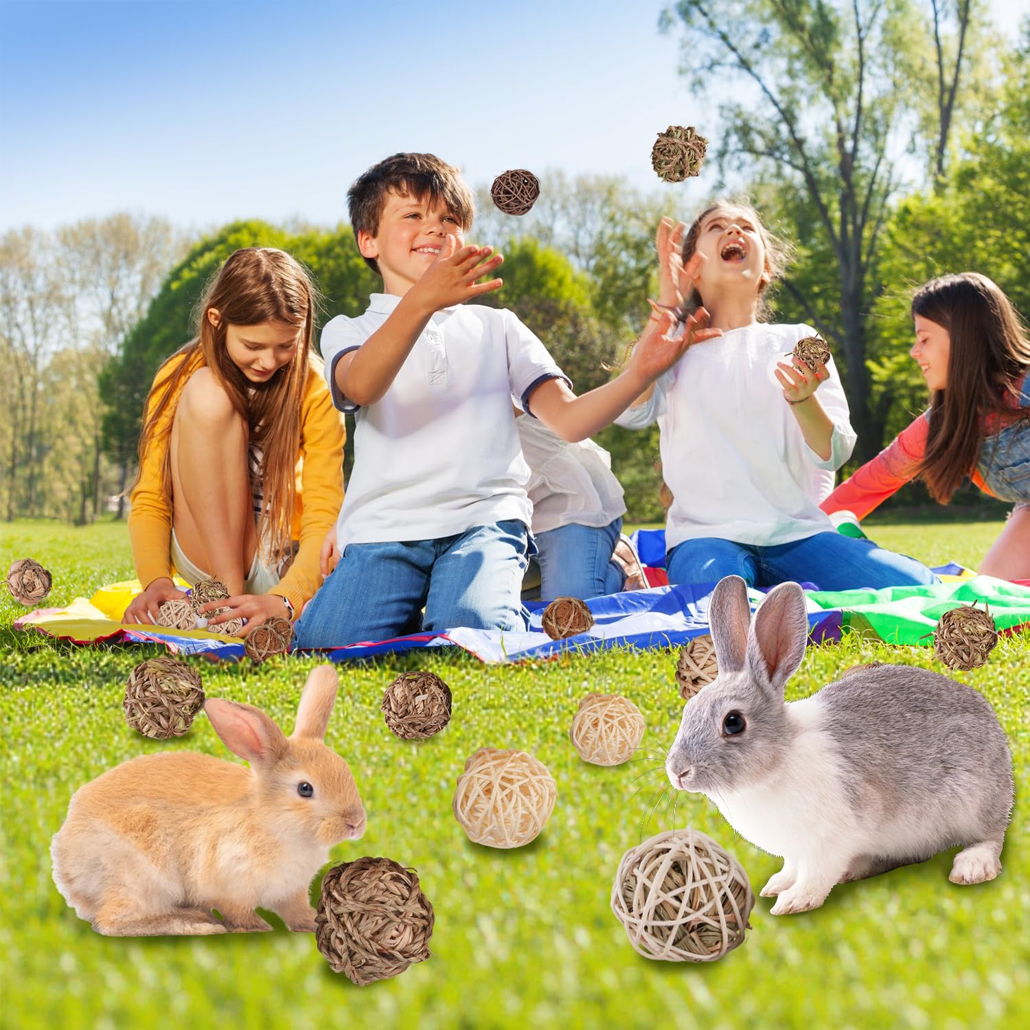 Sofier guinea pig bunny toy pack showcases a 16-piece enrichment set.