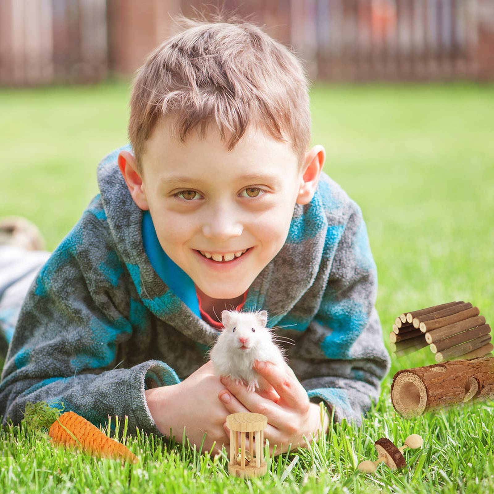 Sofier carrot toy encourages nibbling and enrichment.