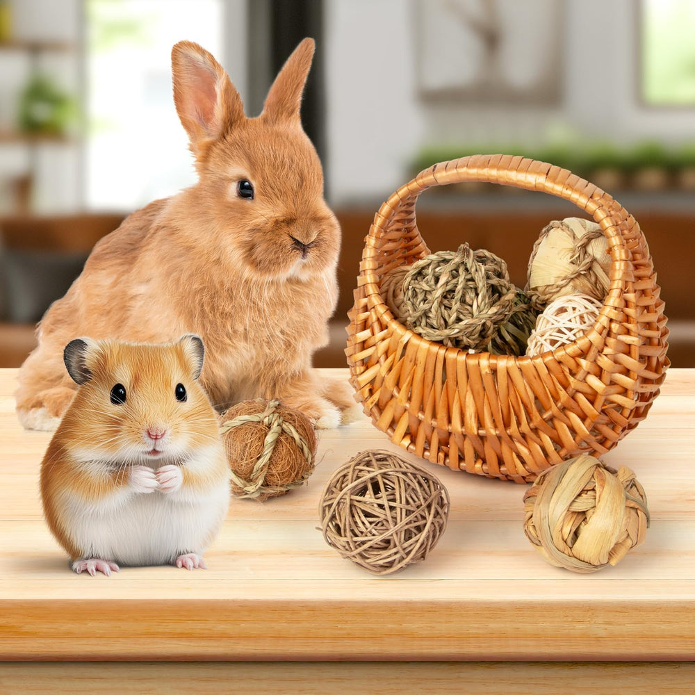 Sofier rodent toy enrichment balls demonstrating chew time and play.