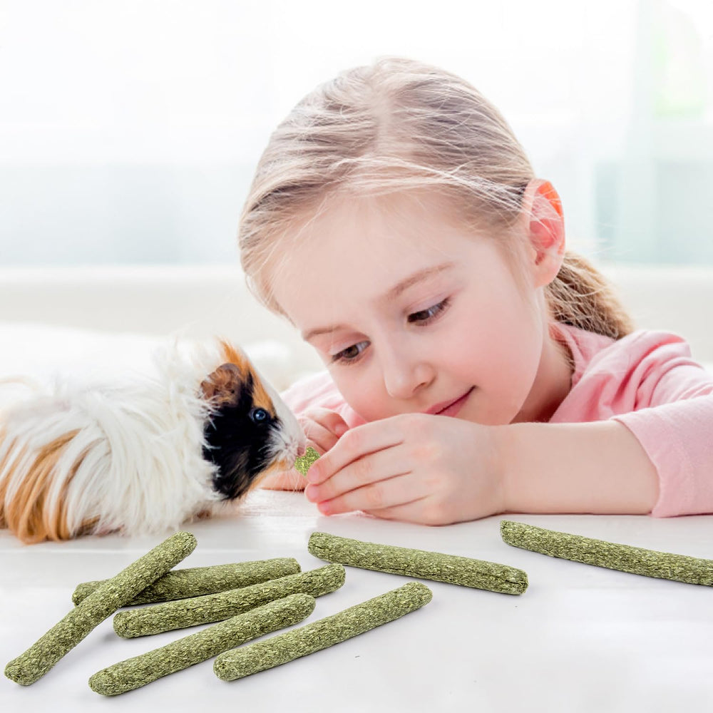 Sofier Timothy Hay Sticks in a rabbit feeder illustrate molar enrichment potential.