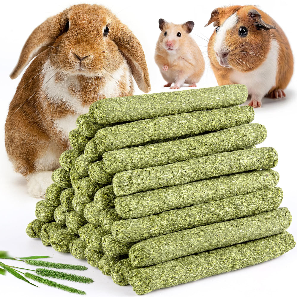 Sofier Timothy Hay Sticks box close-up highlighting natural ingredients and digestion support.