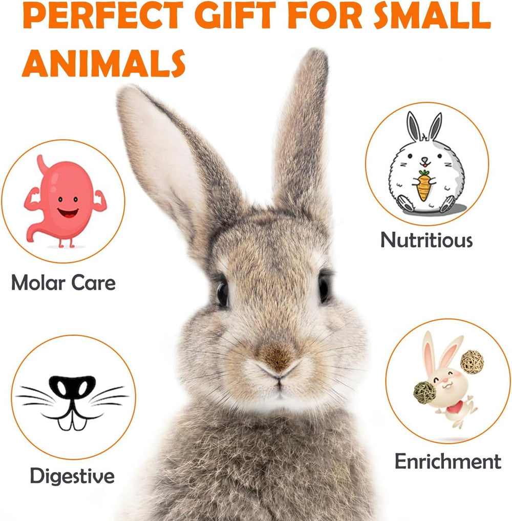 Sofier Timothy Hay Sticks with enrichment scene in small pet setup.