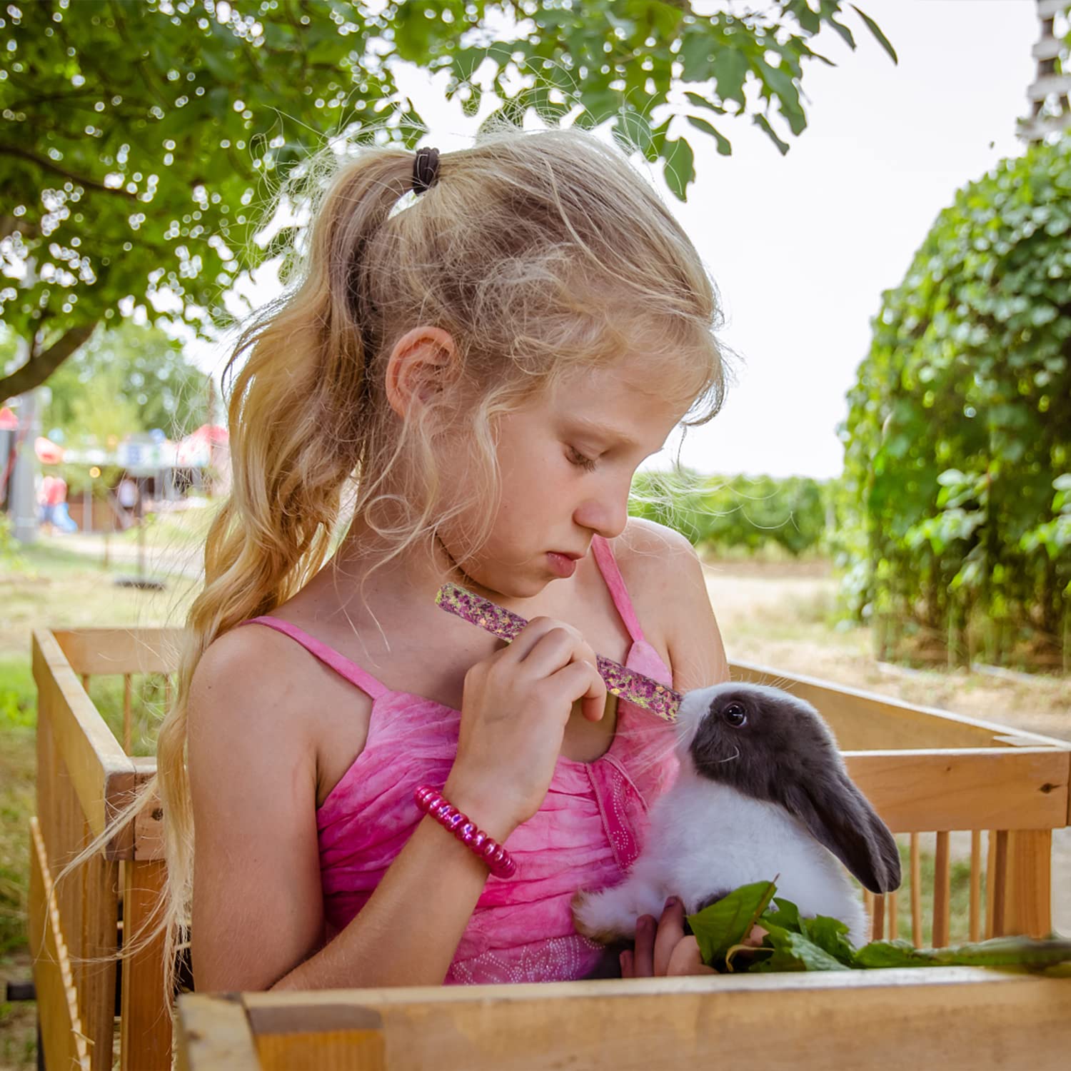 Sofier Timothy Hay Sticks myosotis flavor pack supports daily chewing enrichment