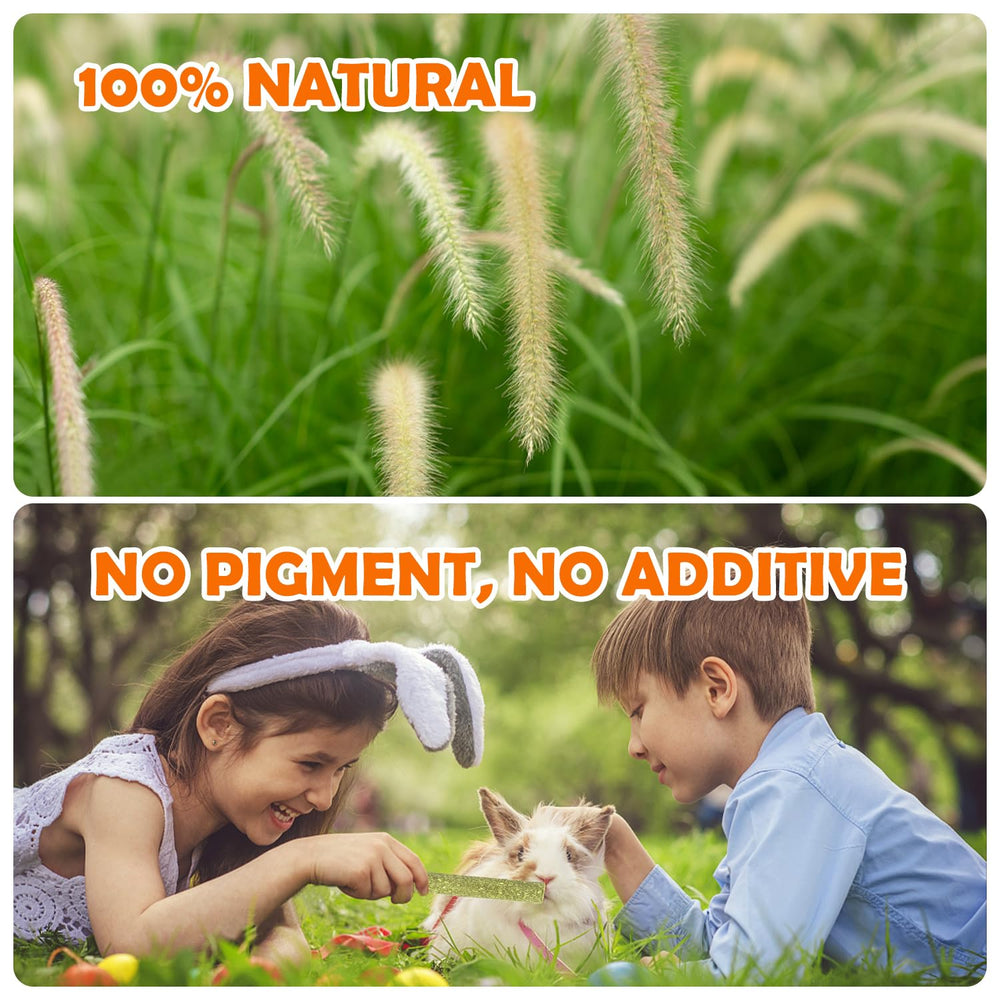 Sofier Timothy Hay Sticks natural ingredients label visible, signaling quality.