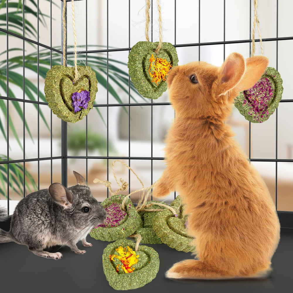 Sofier timothy treats calendula cakes hung by rope for engaging playtime.