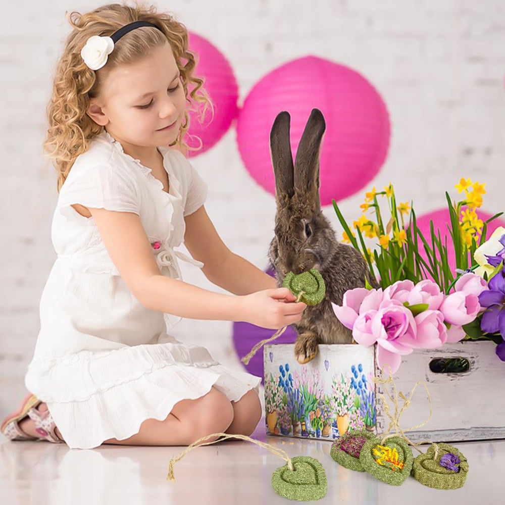 Sofier timothy treats myosotis cakes hung by rope promote varied snack choices.