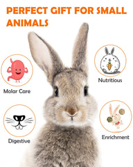 Sofier Timothy Treats Myosotis flavor close-up illustrating high-fiber, digestion-friendly nutrition.