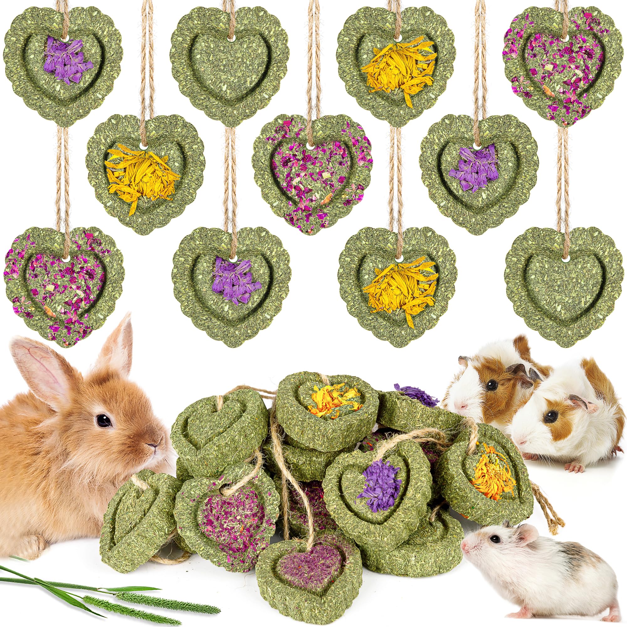 Sofier timothy treats original cakes hung by rope for chew-friendly cage enrichment.