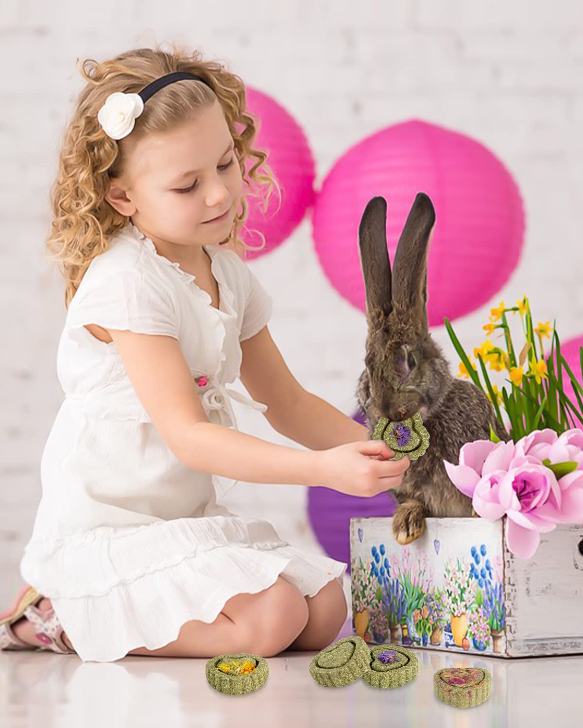 Sofier Timothy Treats Rose flavor close-up highlighting enticing aroma for enrichment.