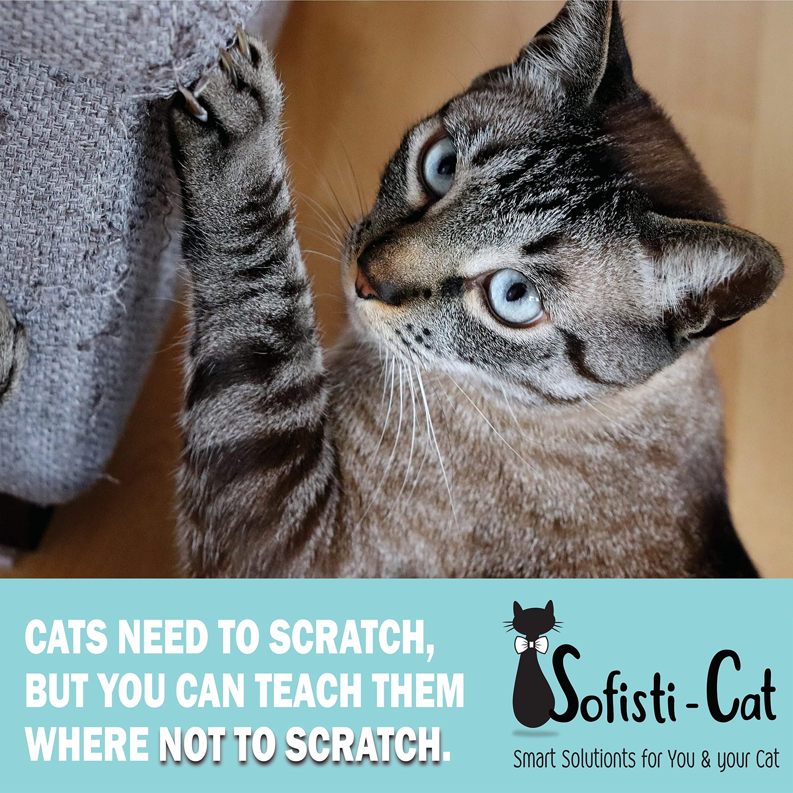 Sofisti-Cat cat deterrent in action—visual demonstration of scratching prevention.