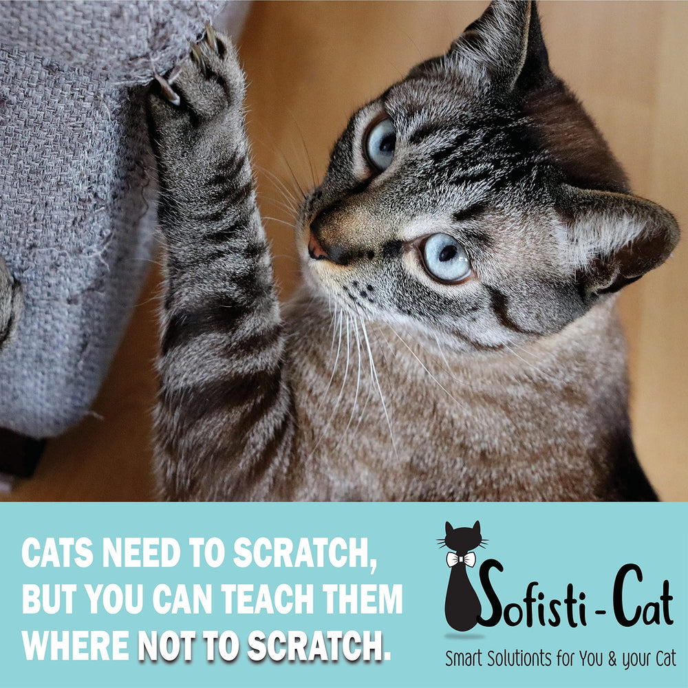 Sofisti-Cat cat deterrent in action—visual demonstration of scratching prevention.