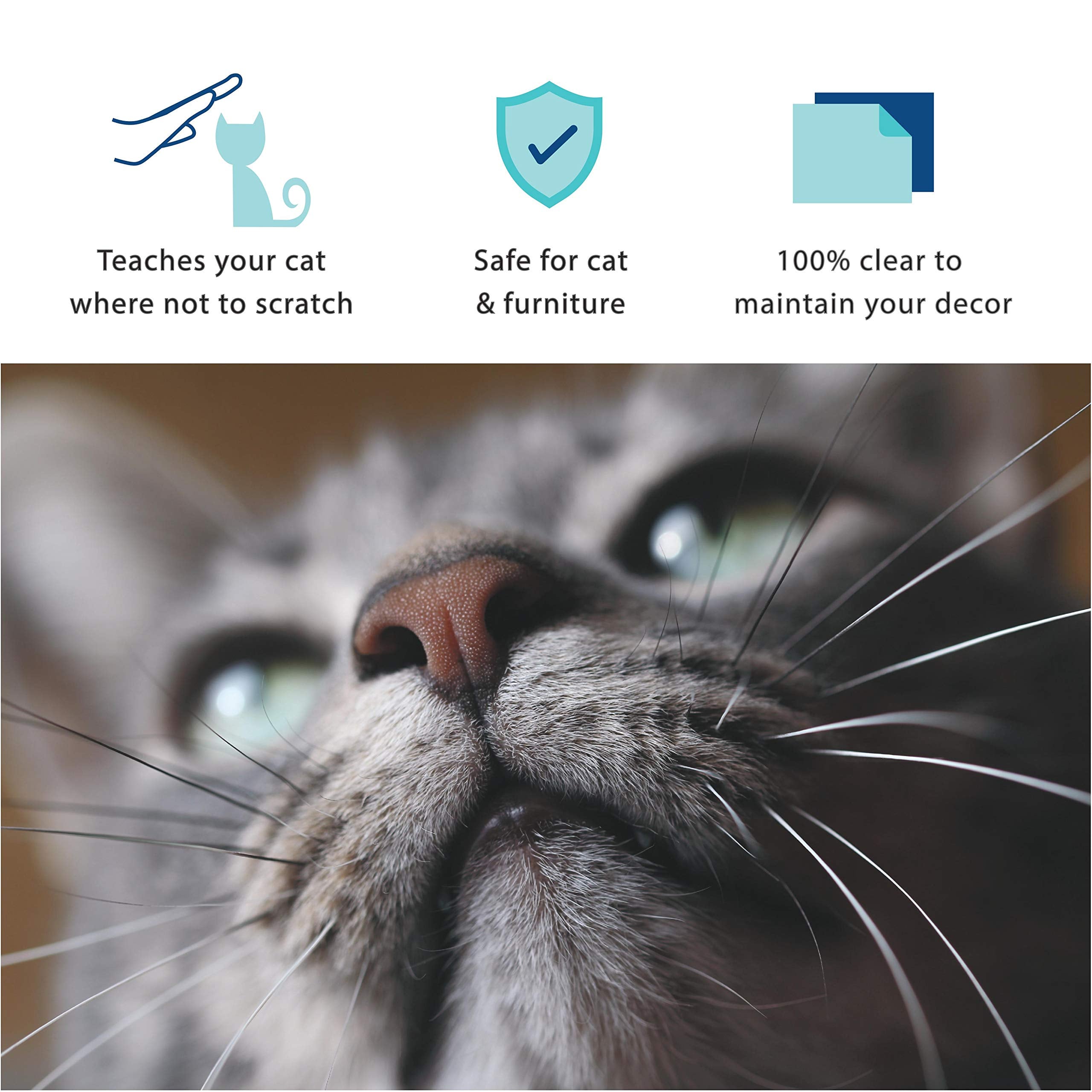 Sofisti-Cat in living room—preserves decor while reducing scratches.