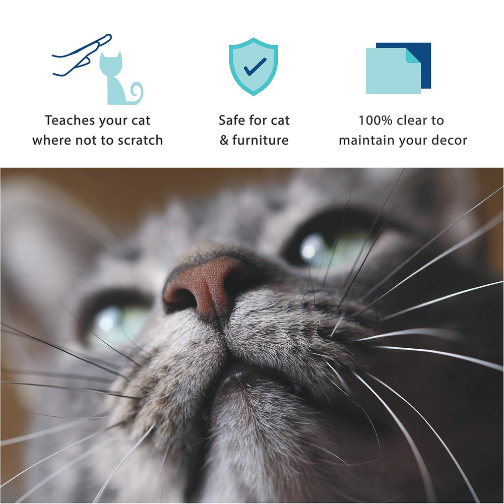 Sofisti-Cat in living room—preserves decor while reducing scratches.