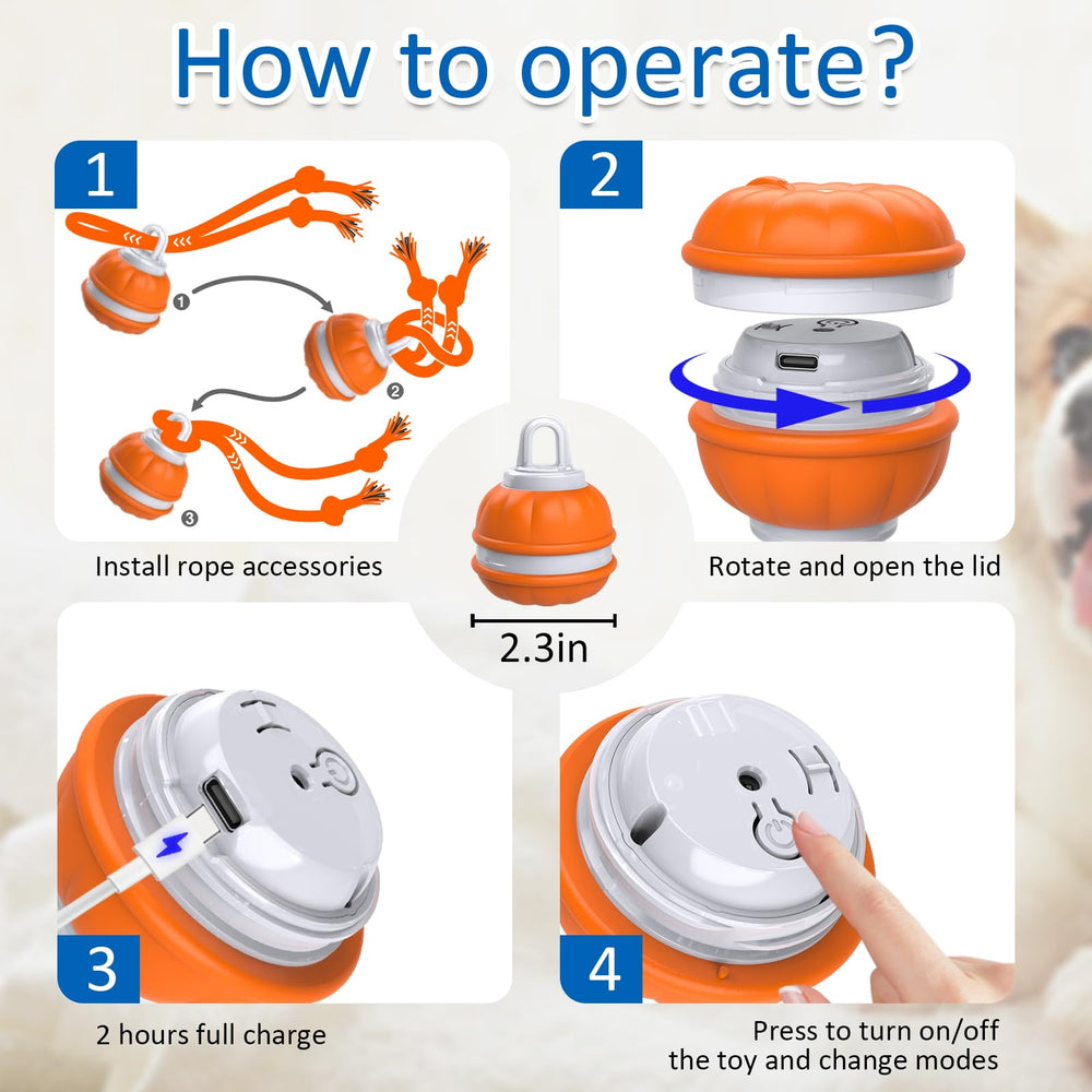 Sofolor dog ball on various floor types illustrating versatile indoor fun.