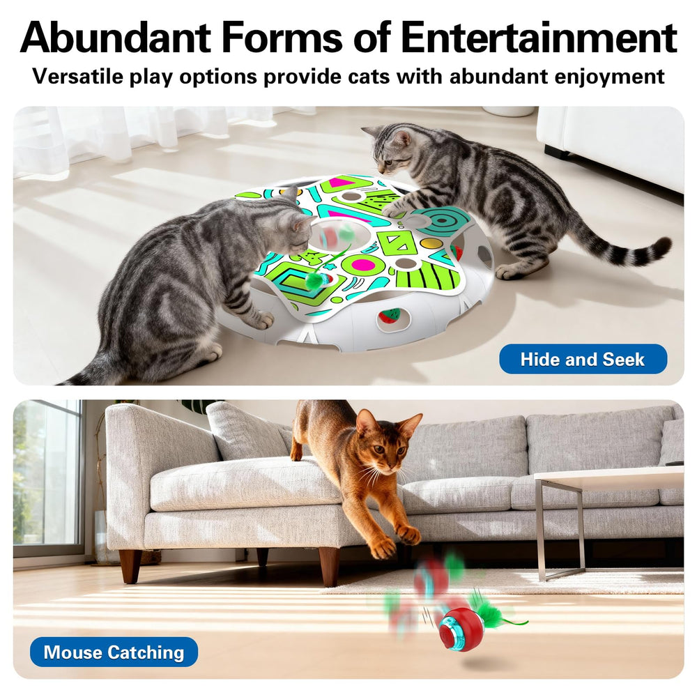 Sofolor indoor exercise session image emphasizes energy-burning play for active, bored cats.