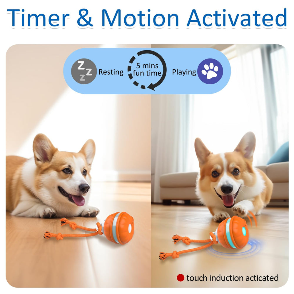 Sofolor interactive dog ball in action showing automated rolling during play.