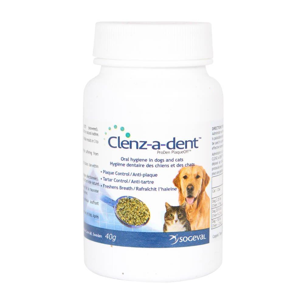 Sogeval Clenz-A-Dent 40 g pack shot showing seaweed-based flakes for fresh breath