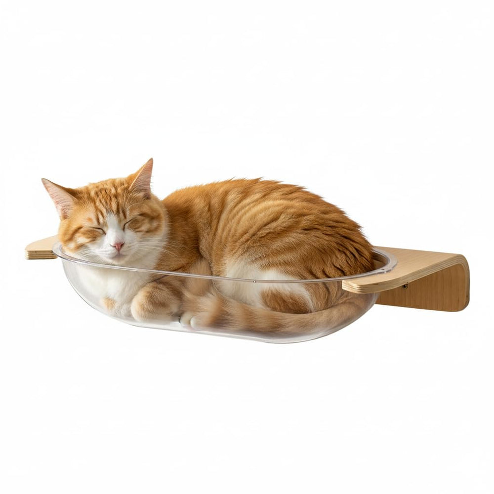 SOJILET cat wall shelves climbing wall system supports exploration and exercise.