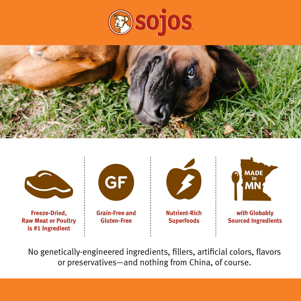 Sojos Complete-serving-bowl presents a moistened meal with aroma appealing to dogs