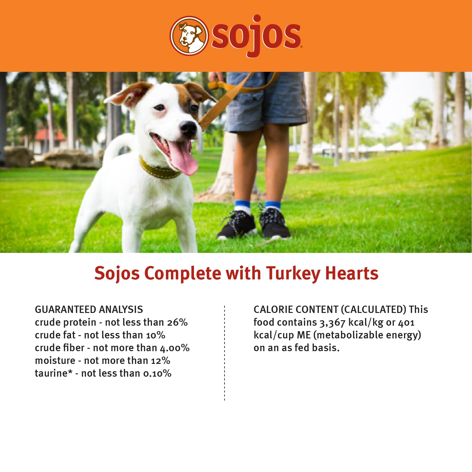 Sojos Turkey Recipe Dehydrated Dog Food dog eating scene signals happy mealtime.