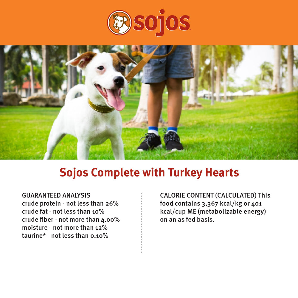 Sojos Turkey Recipe Dehydrated Dog Food dog eating scene signals happy mealtime.