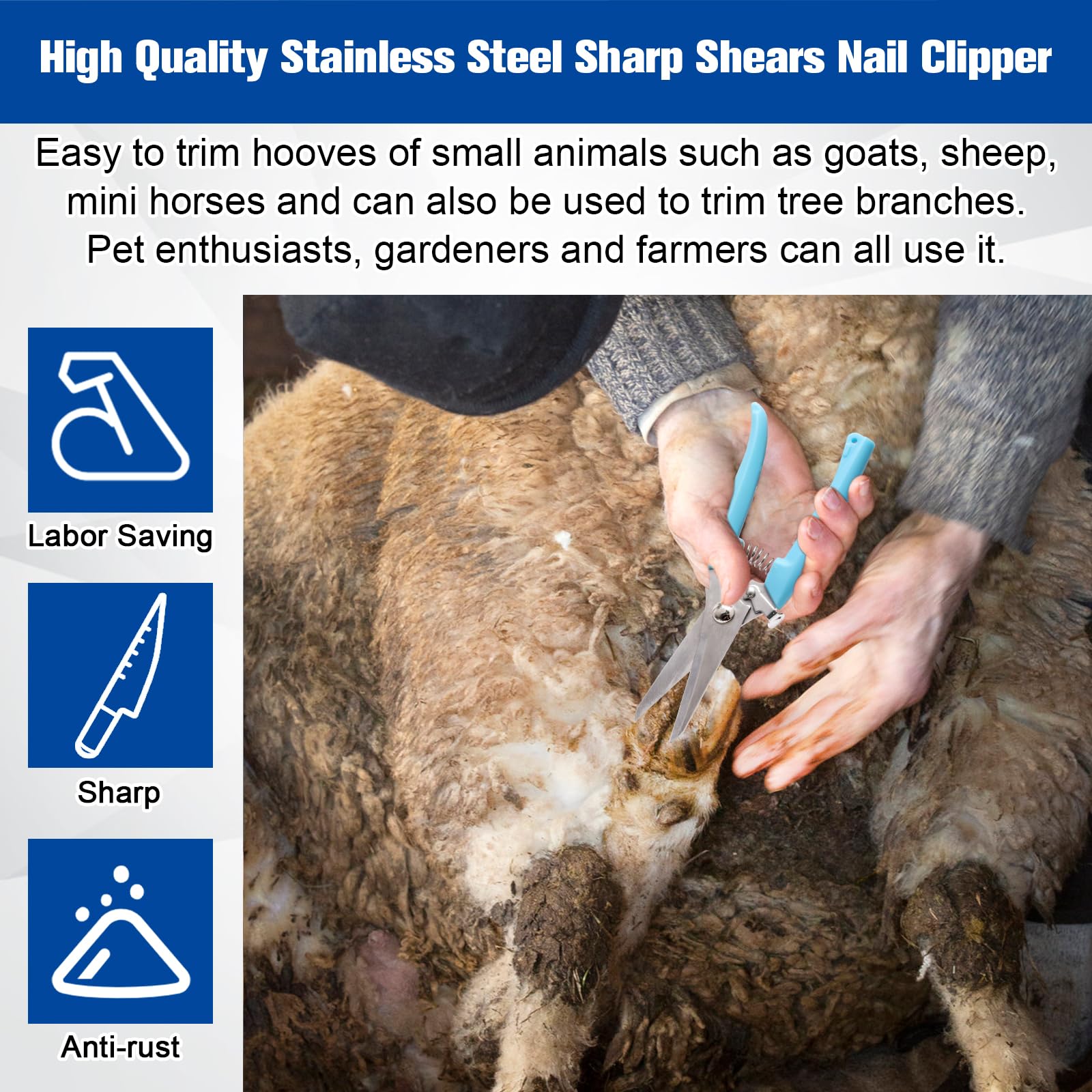 Solaradgy hoof straight cutter closeup emphasizes precise trimming and ergonomic design.