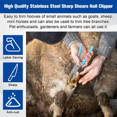 Solaradgy hoof straight cutter closeup emphasizes precise trimming and ergonomic design.
