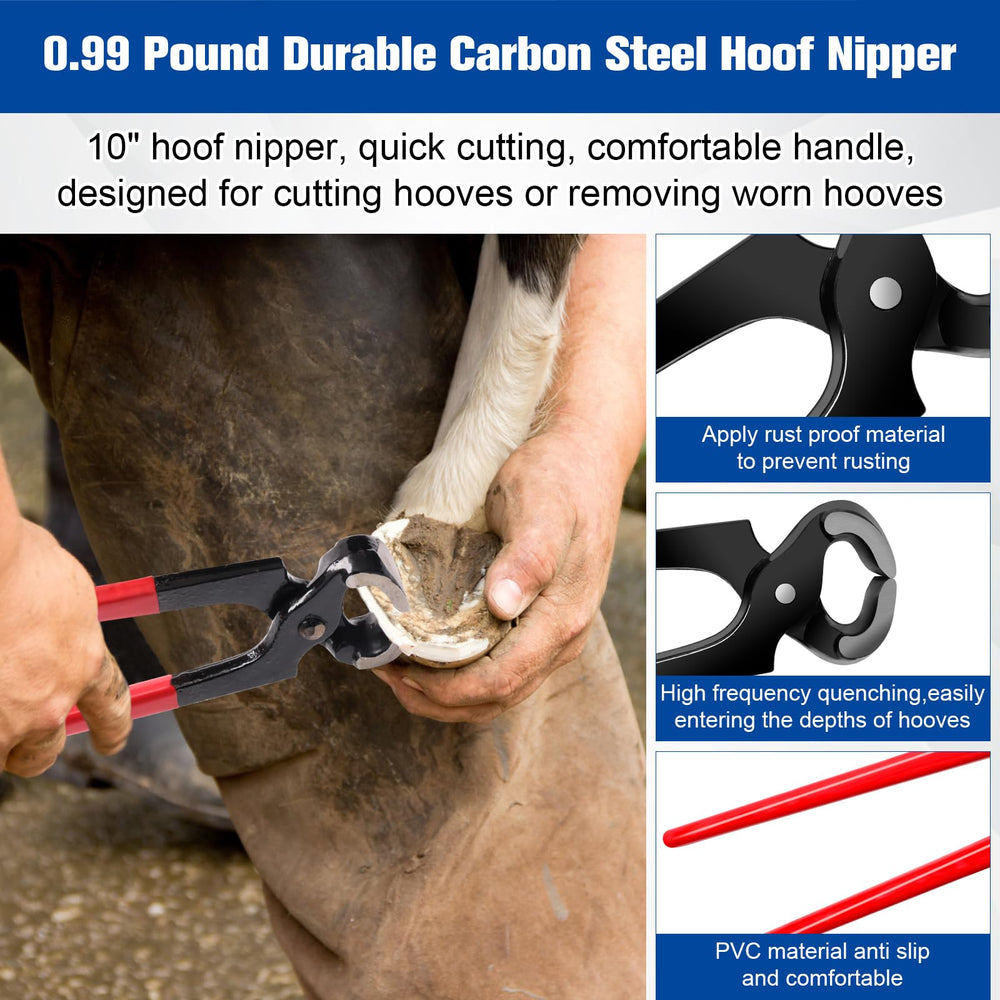 Solaradgy rasp file side view reveals clear patterns for smoothing hooves.