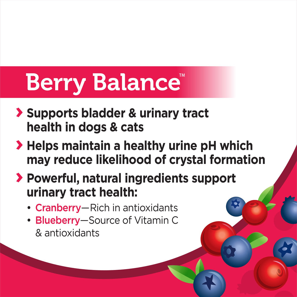 Solid Gold Berry Balance ingredients image featuring cranberries and blueberries.