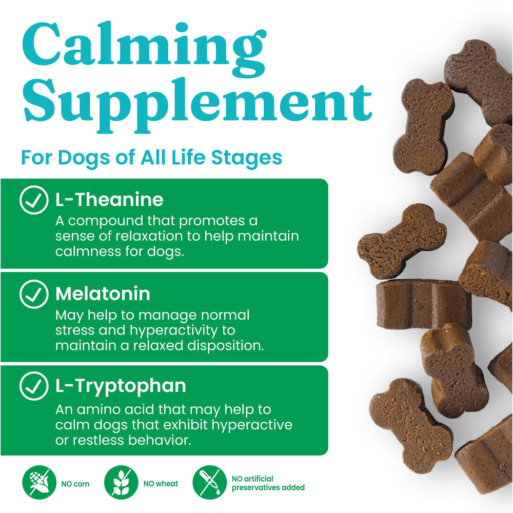 Solid Gold Calming Chews packaging box highlights stress support and travel-ready design