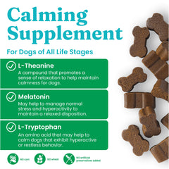 Solid Gold Calming Chews packaging box highlights stress support and travel-ready design