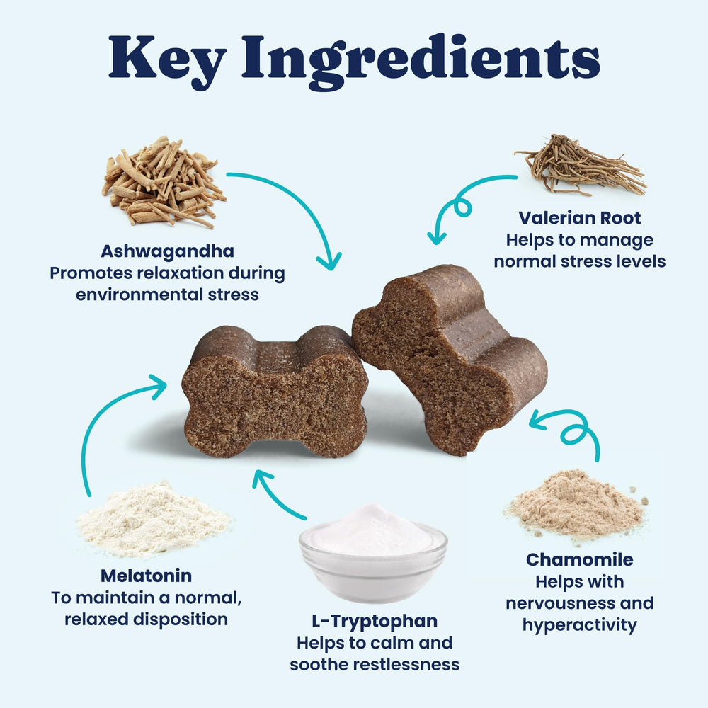 Solid Gold Calming Chews puppy-dog-relaxation captures moments of gentle stillness