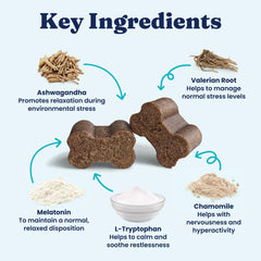 Solid Gold Calming Chews puppy-dog-relaxation captures moments of gentle stillness