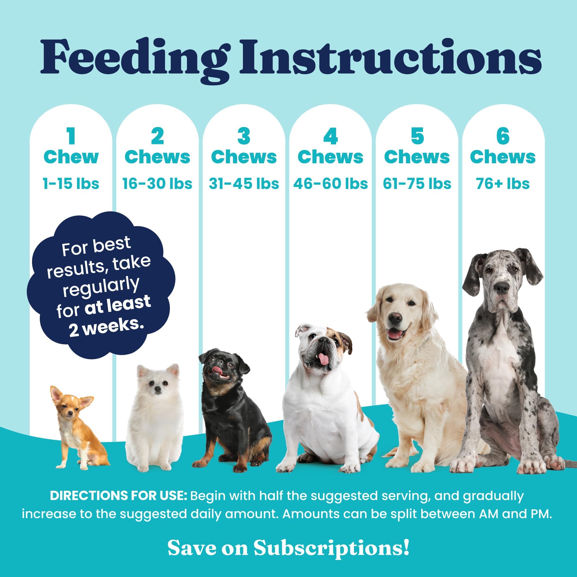 Solid Gold Calming Chews travel-use highlights on-the-go peace during trips