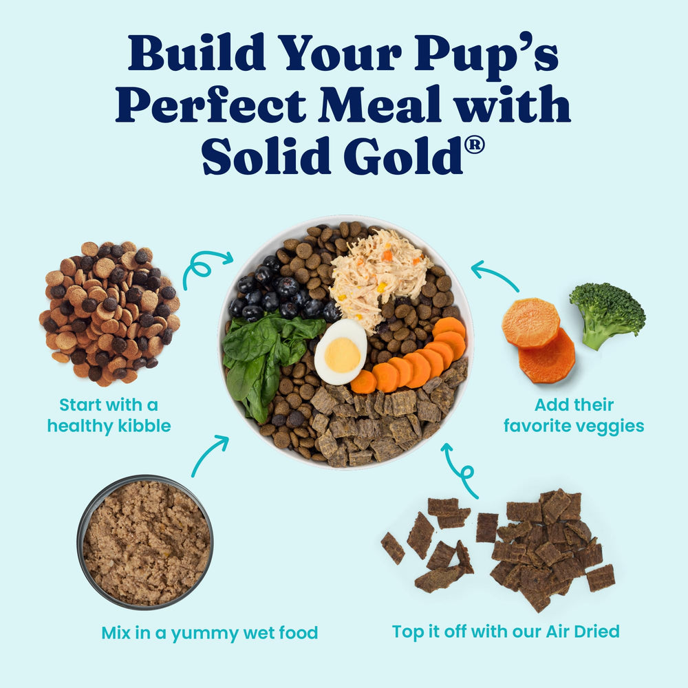 Solid Gold canned dog food serving bowl shows easy, appetizing meal for dogs