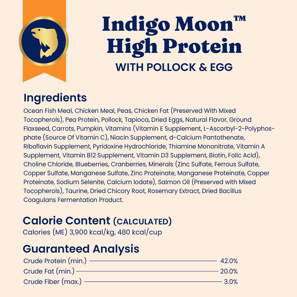 Solid Gold kibble in bowl with cat signals balanced nutrition for indoor and active cats.