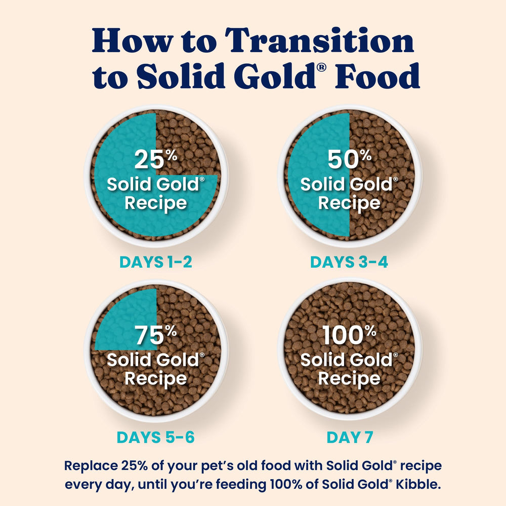 Solid Gold feeding-time-serving-dish shows convenient daily meals for cats.
