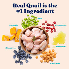 Solid Gold probiotics-omega-fatty-acids image shows gut-friendly bacteria and coat-supporting fats.