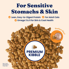Solid Gold pumpkin-fiber-delight highlights pumpkin fiber for digestion and stool quality.