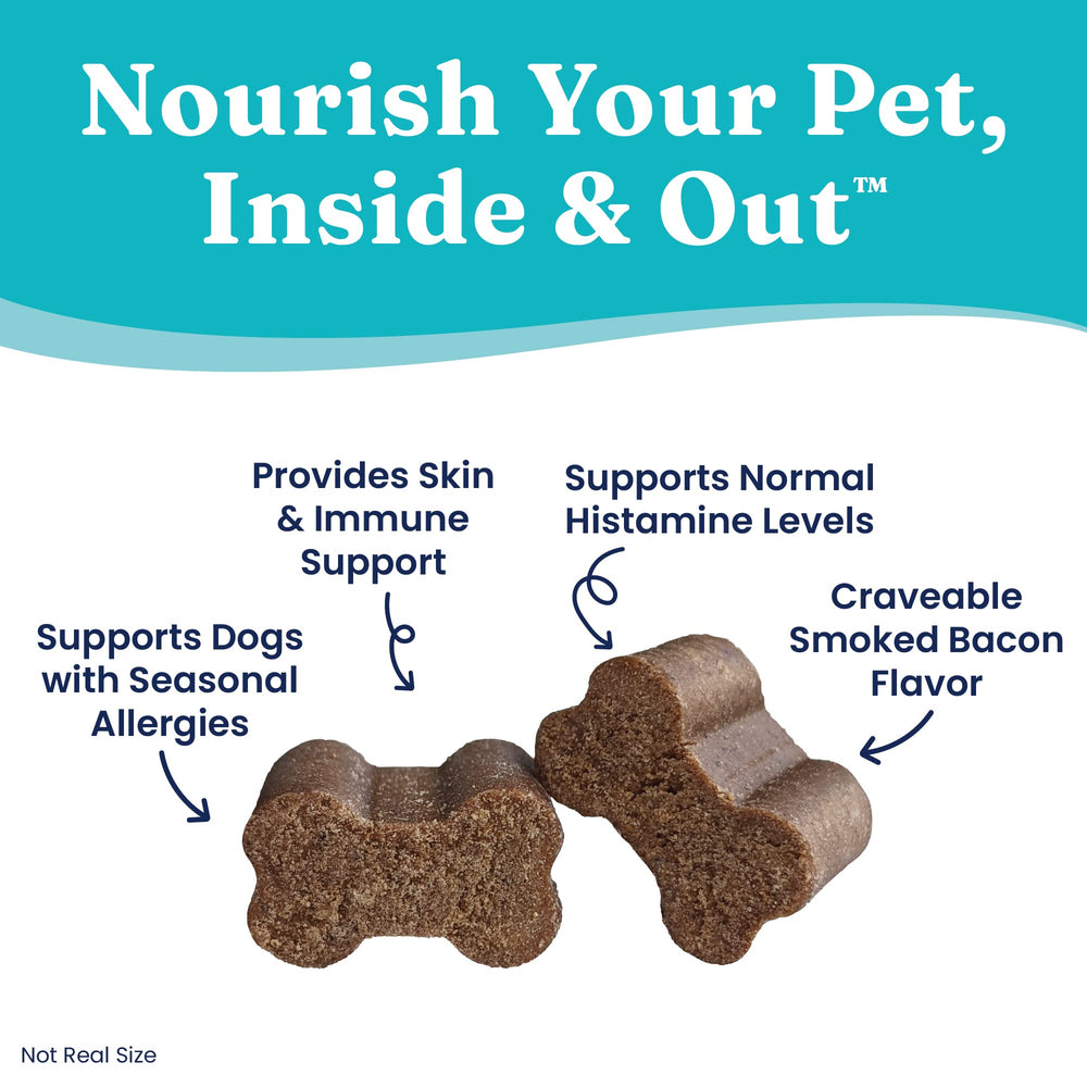 Solid Gold Dog Allergy Chews bacon flavor chews beside a dog's bowl.