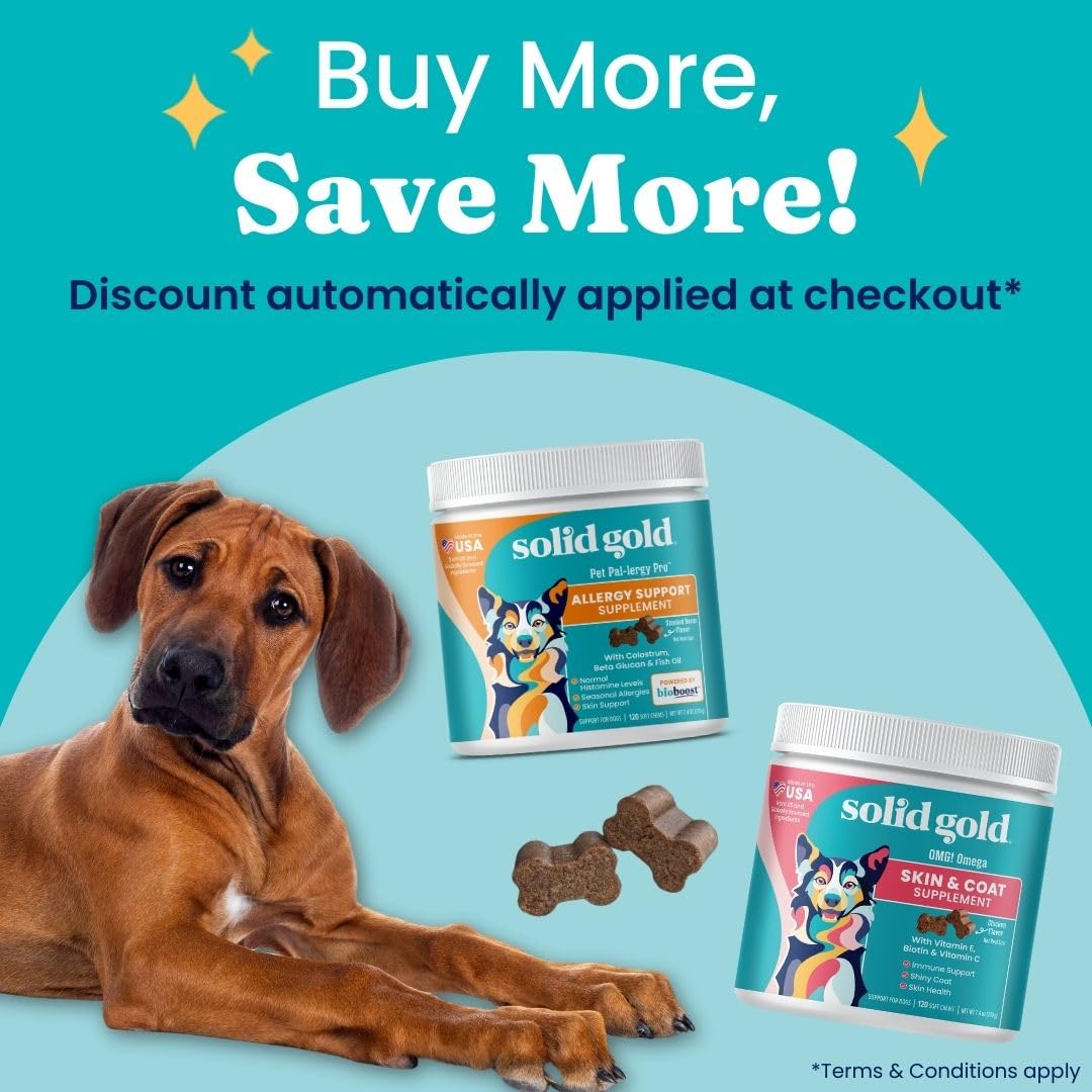 Solid Gold Dog Allergy Relief Chews bottle demonstrates convenient daily supplementation.