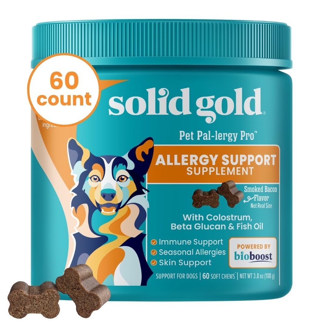 Solid Gold dog allergy relief chews packaging shows 60-count bottle for easy daily dosing
