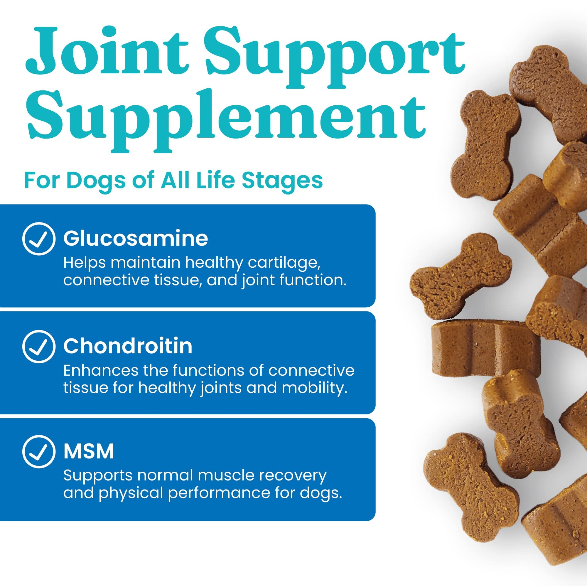 Solid Gold dog hip joint supplement dining scene suggests easy dosing.