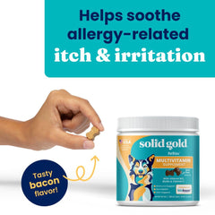 Solid Gold dog multivitamin chews close-up with bacon flavor loved by dogs for easy daily dosing.