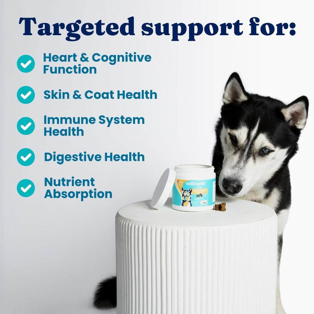 Solid Gold packaging highlights vitamins and probiotics for gut and immune support.