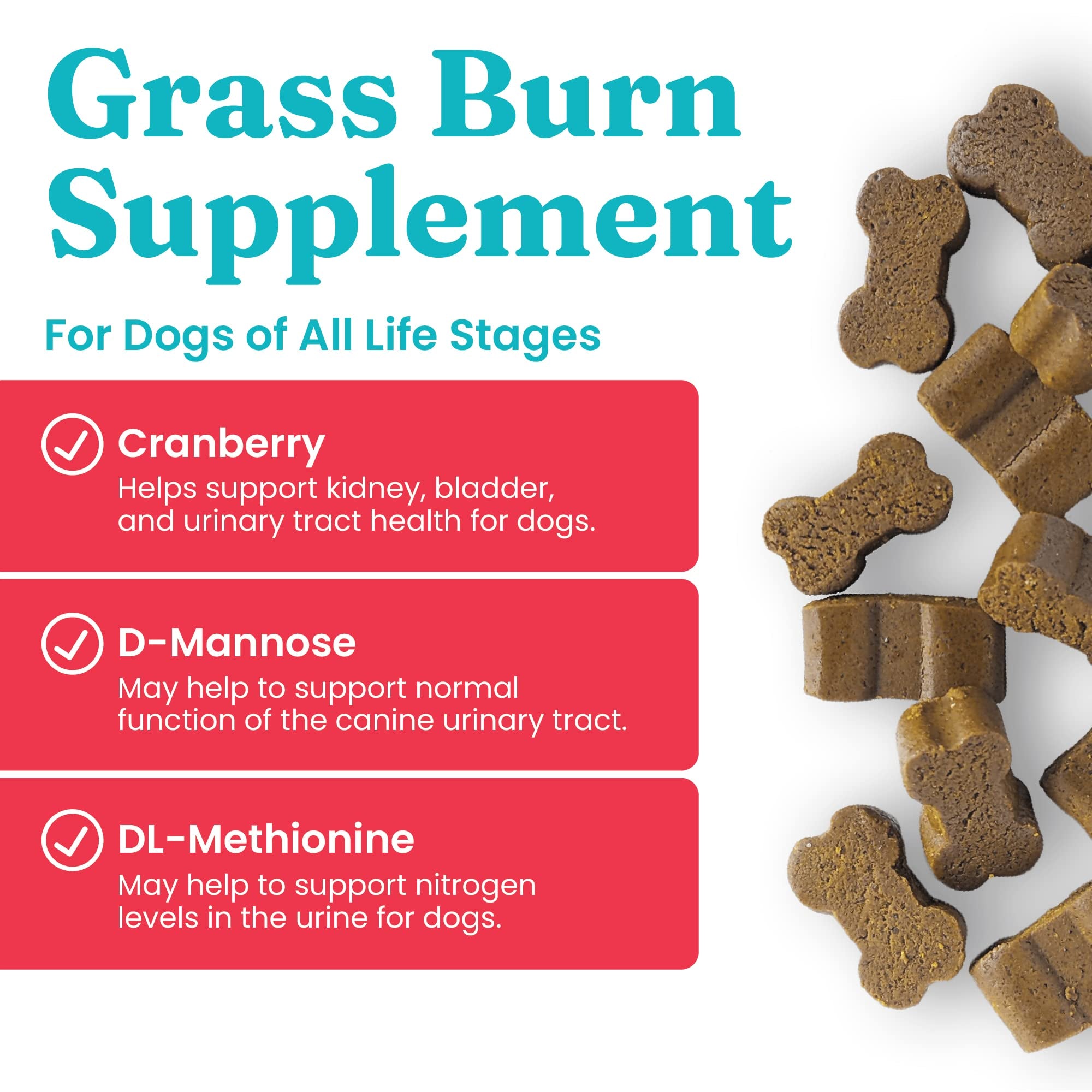 Solid Gold dog pee grass repair chews bottle with treats ready for lawn restoration.