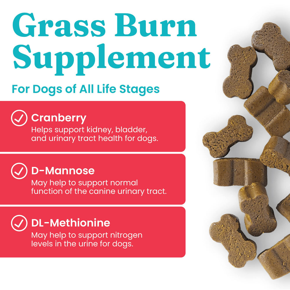 Solid Gold dog pee grass repair chews bottle with treats ready for lawn restoration.
