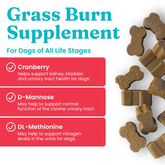 Solid Gold dog pee grass repair chews bottle with treats ready for lawn restoration.