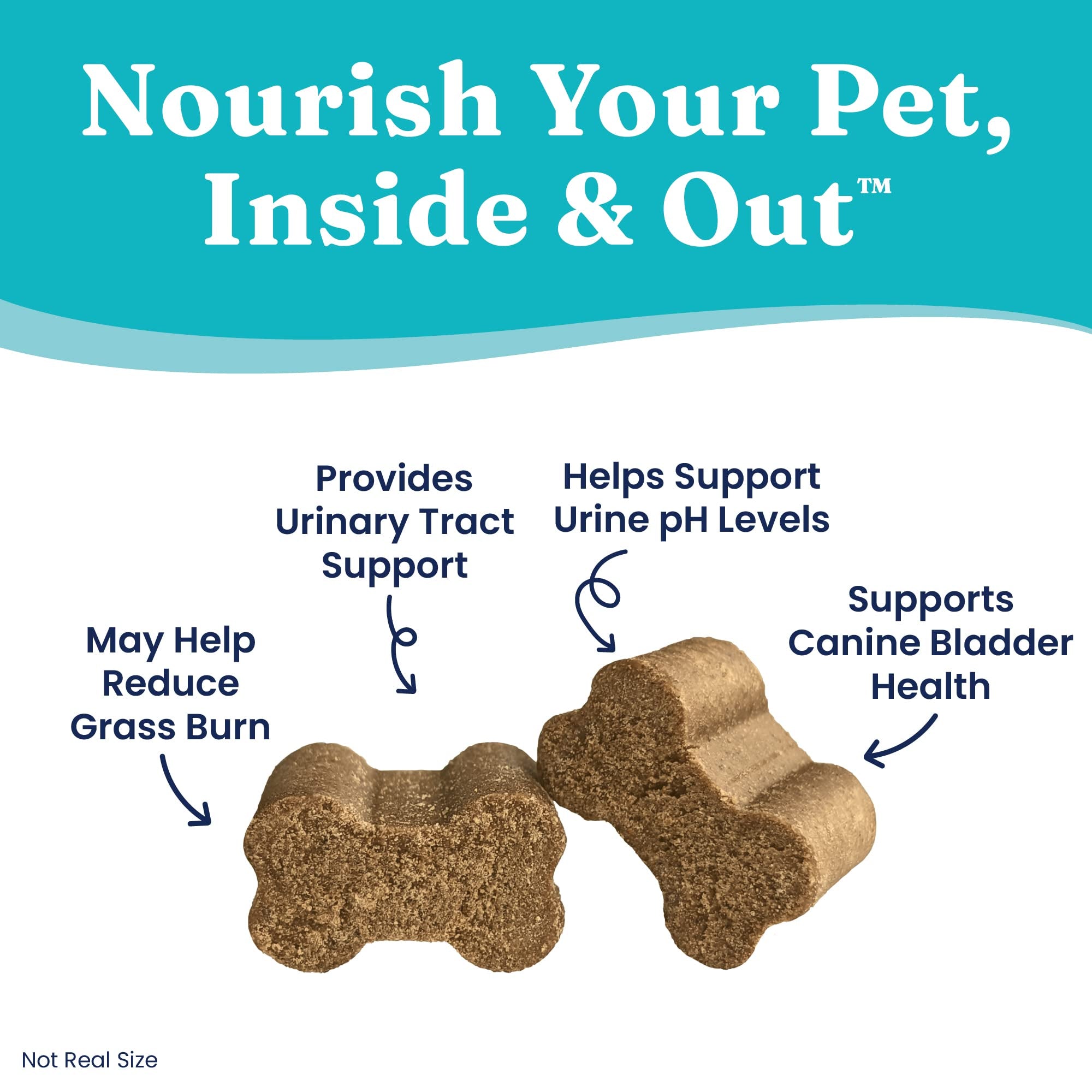 Solid Gold dog pee grass repair chews bacon flavor close-up on chewy texture.