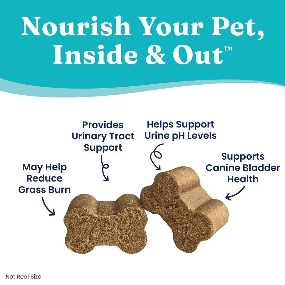 Solid Gold dog pee grass repair chews bacon flavor close-up on chewy texture.
